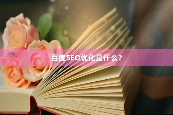 百度SEO优化是什么?